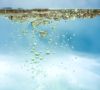 water oil bubbles background