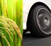 Evonik geht Kooperation für Kieselsäure aus biobasierten Rohstoffen ein