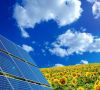 Photovoltaikanlage auf Sonnenblumenfeld vor blauem Himmel mit weißen Wolken; Solarstrom, erneuerbare Energie