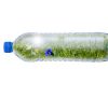 PET-Flasche mit Grünen Pflanzen