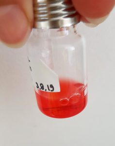 In der auf die Elektrolyse folgenden Fermentation wird Ameisensäure zu einem wertschöpfenden terpenoiden Farbstoff umgesetzt. (Bilder: Fraunhofer IGB)
